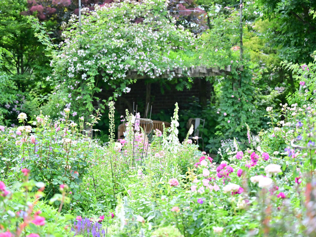 花園の向こうに見えるパーゴラ下のベンチ