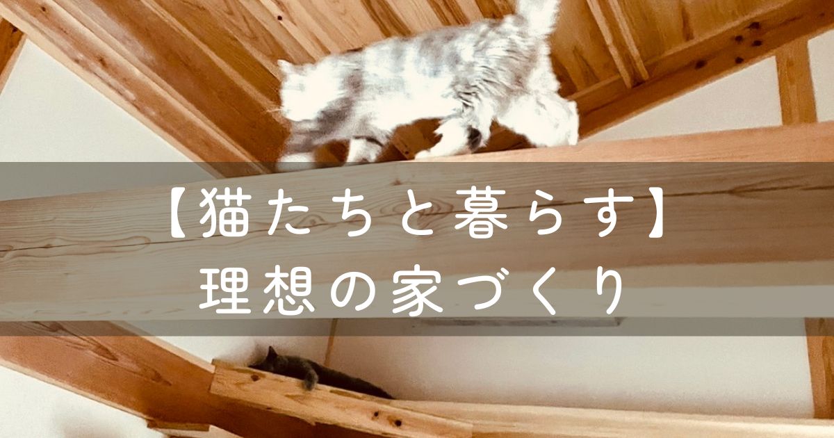 猫たちと暮らす。理想の家づくり