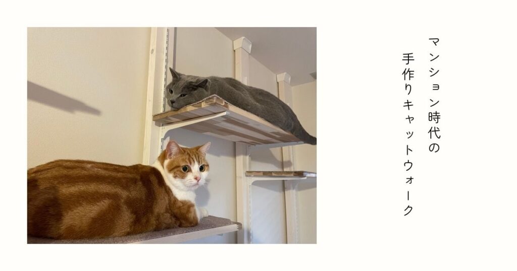 DIYのキャットウォークでくつろぐ2匹の猫