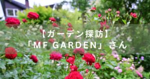 MF Gardenさんの庭