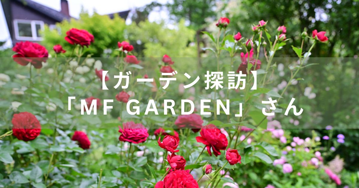 MF Gardenさんの庭