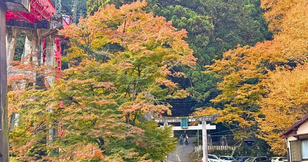 ケーブルカー「滝本駅」付近