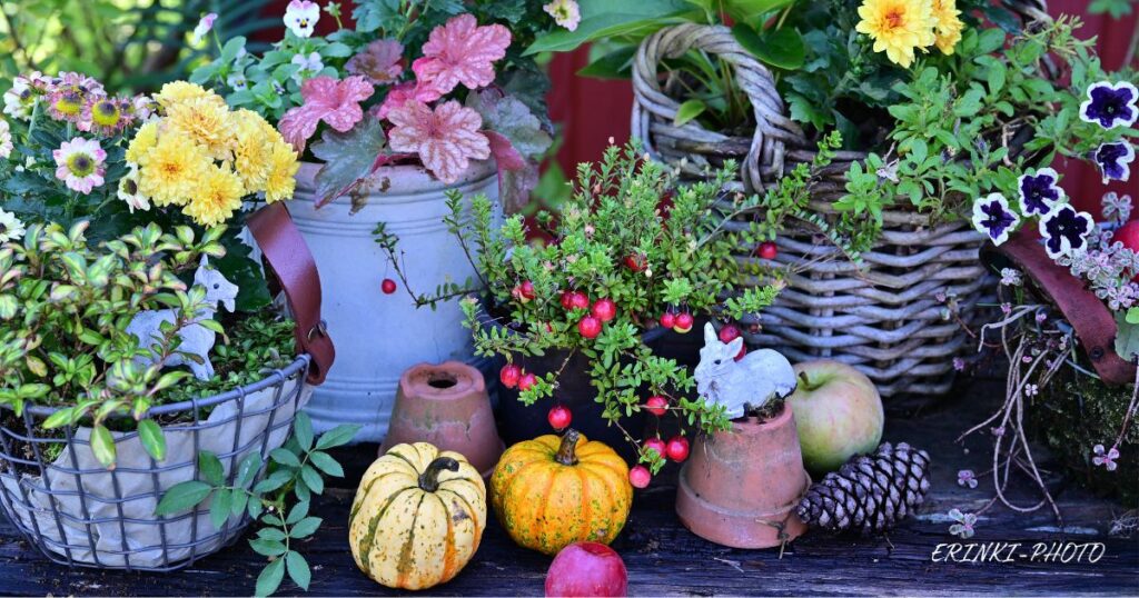 赤い家のディスプレイ