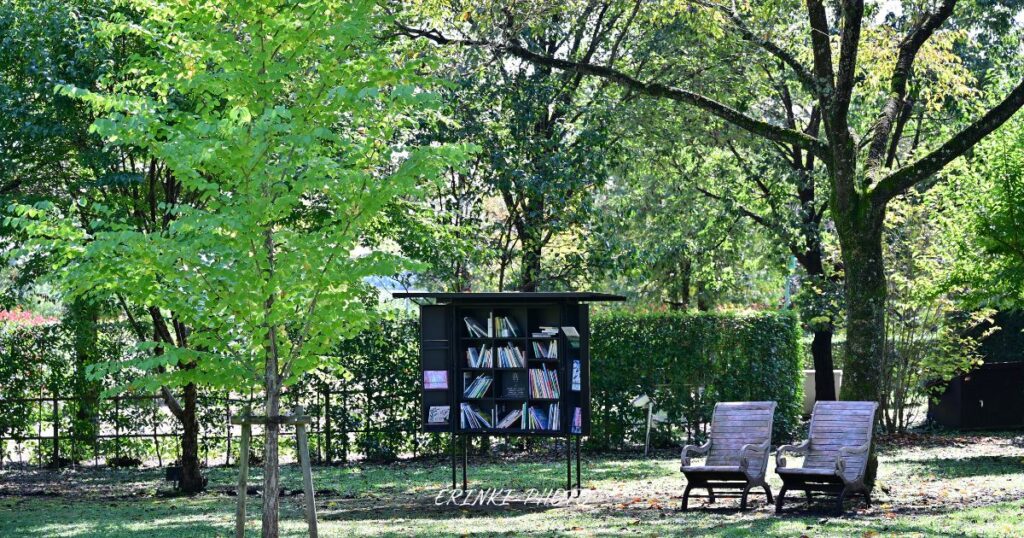 木陰に置かれた椅子と本棚